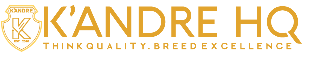 kandre hq logo gold